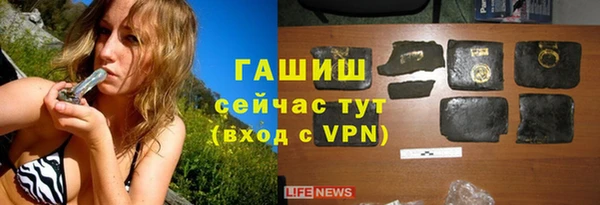 индика Няндома