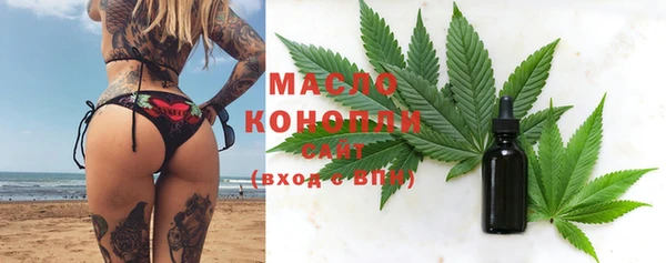 индика Няндома