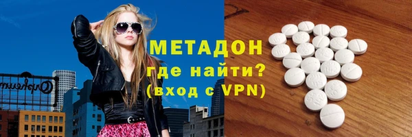 индика Няндома