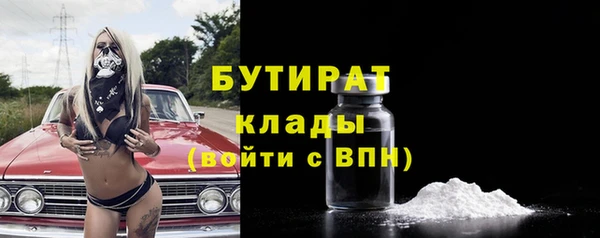 индика Няндома