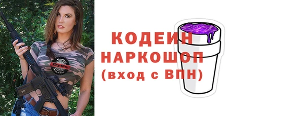 индика Няндома