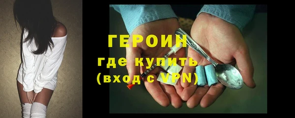 индика Няндома