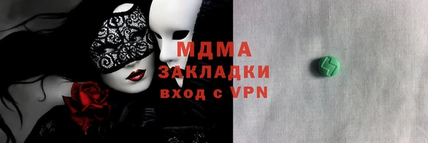 индика Няндома