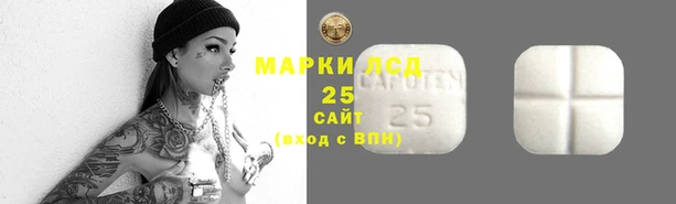 дурь Нефтекумск
