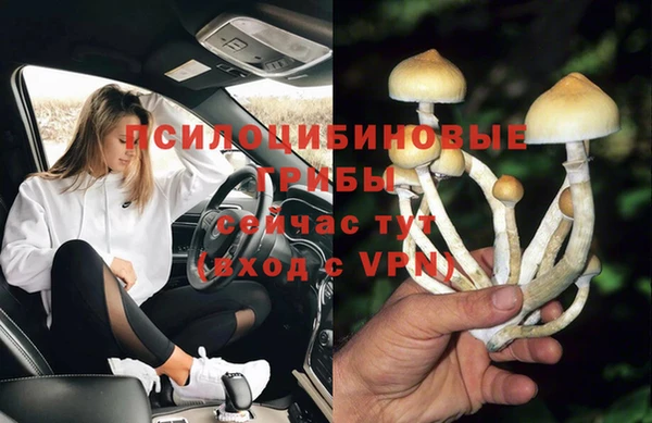 гашик Нягань
