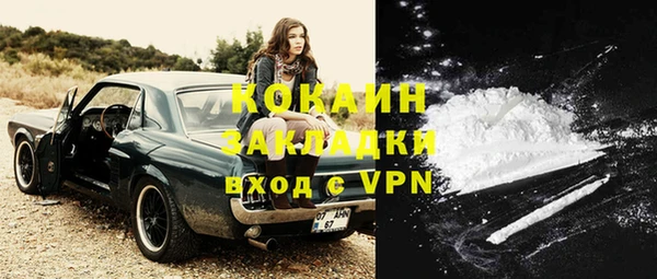 индика Няндома