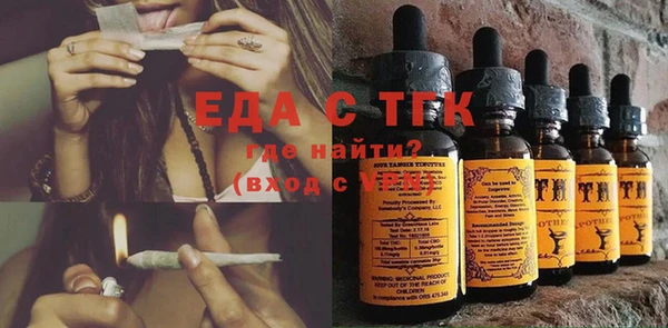 индика Няндома
