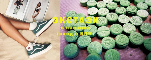 индика Няндома