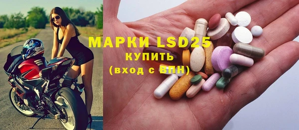 индика Няндома