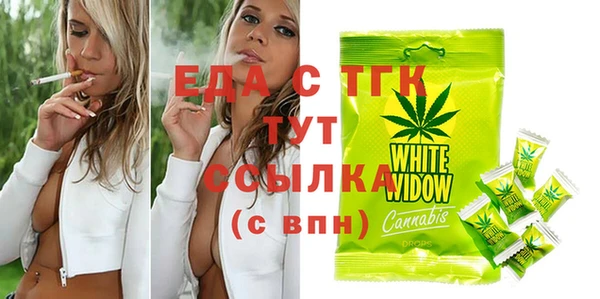 индика Няндома