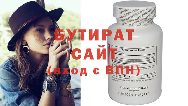 индика Няндома