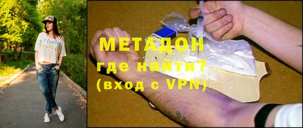 индика Няндома