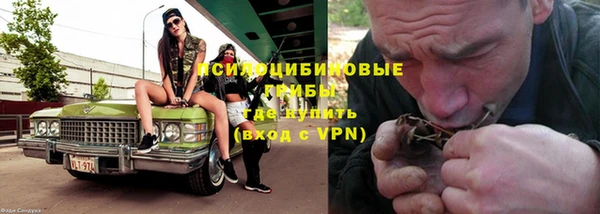 индика Няндома