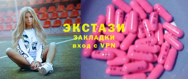 индика Няндома