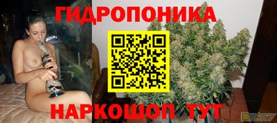 марихуана Краснознаменск