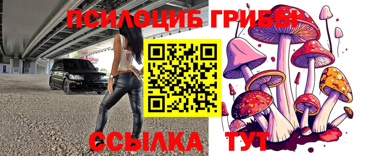 Псилоцибиновые грибы MAGIC MUSHROOMS Псков